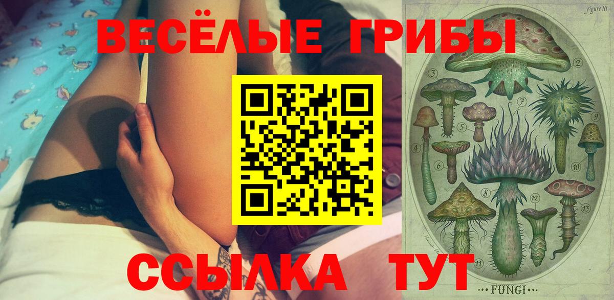 Псилоцибиновые грибы Magic Shrooms  закладка  Нальчик  Вход с VPN 